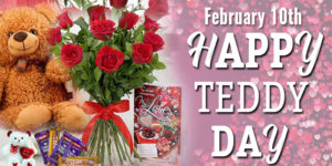 Choose Perfect Teddy on this Valentine's Week