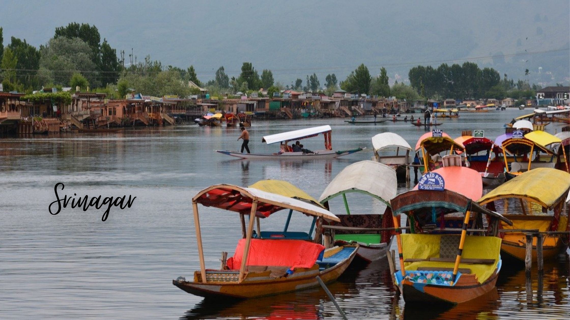 Srinagar