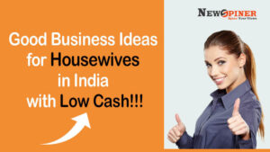 Good Business Ideas For Housewives in India With Low Cash!!!