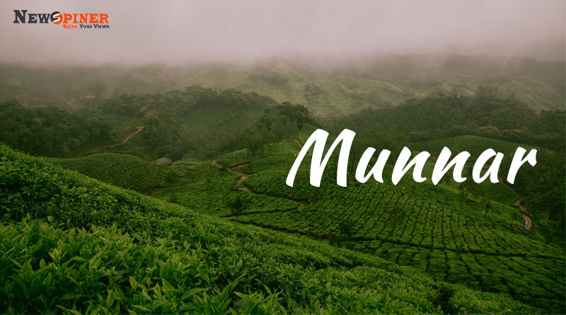 Munnar- Best Places To Visit In India in March