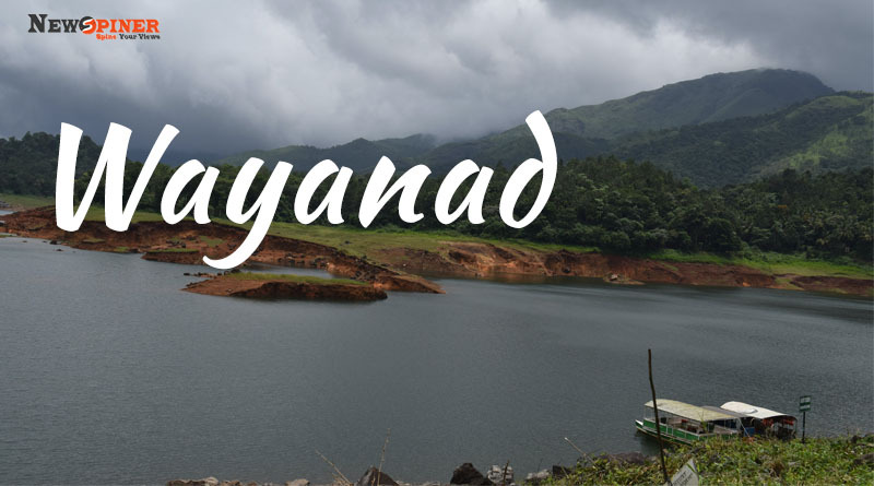 Wayanad - Best Places To Visit In India in March