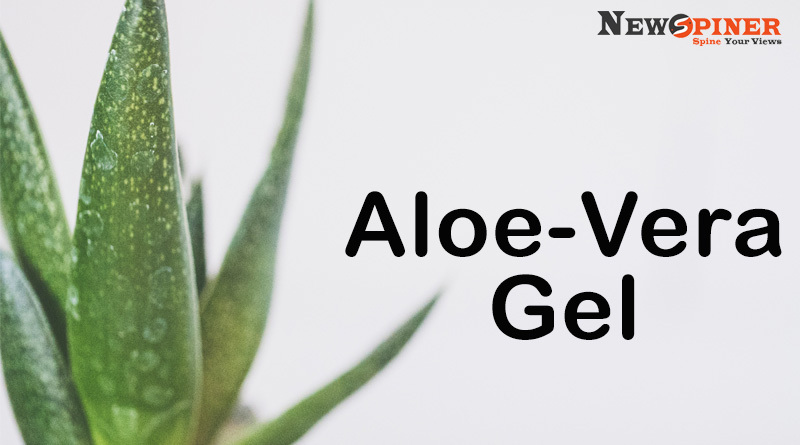 Aloe-vera gel - Home Remedies for Clear and Glowing Skin