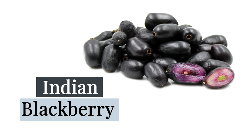 Indian Blackberry