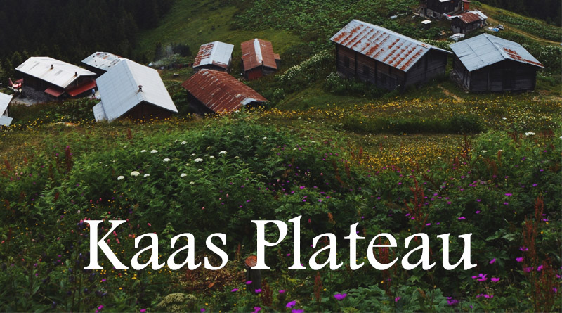 Kaas Plateau