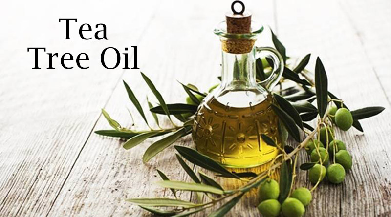 Tea Tree oil - Home Remedies for Acne Scars Overnight