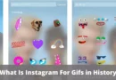 What Is Instagram For Gifs In History?
