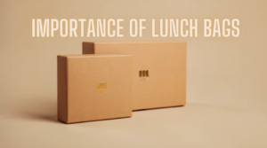 What is the Importance of Lunch Bags?