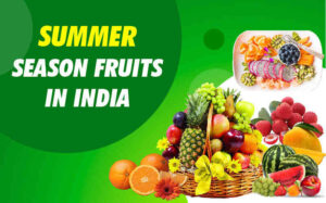 Summer Season Fruits in India