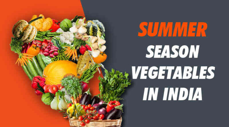 Summer Season Vegetables in India