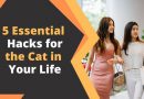 5 Essential Hacks for the Cat in Your Life