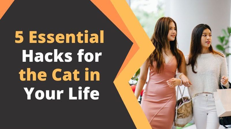 5 Essential Hacks for the Cat in Your Life
