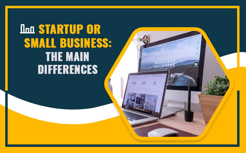 Startup or Small Business: The Main Differences