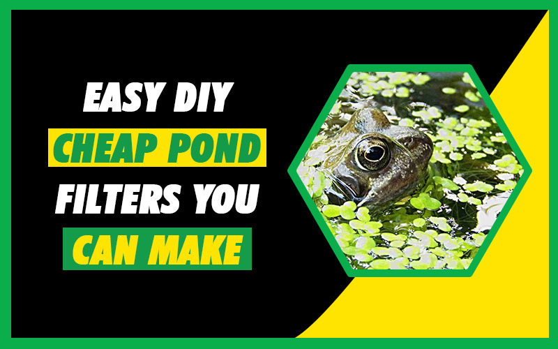 Easy DIY Cheap Pond Filters You Can Make