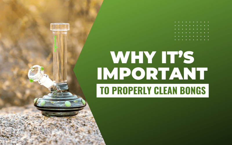 Why It’s Important to Properly Clean Bongs
