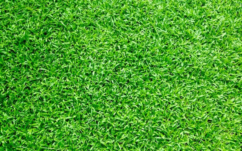 What Are the Benefits of Artificial Grass